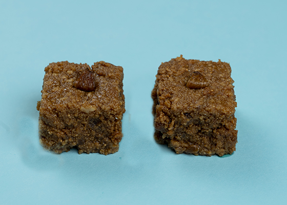 Anjeer Burfi