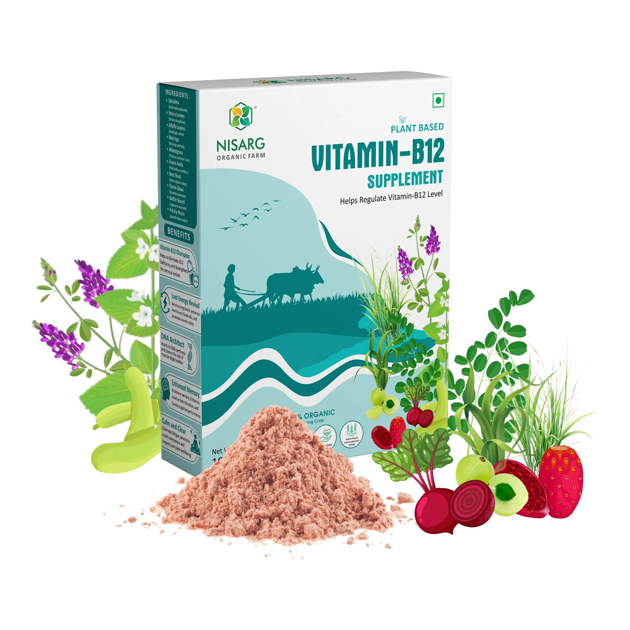 Vitamin B12 Supplements | 100 gms