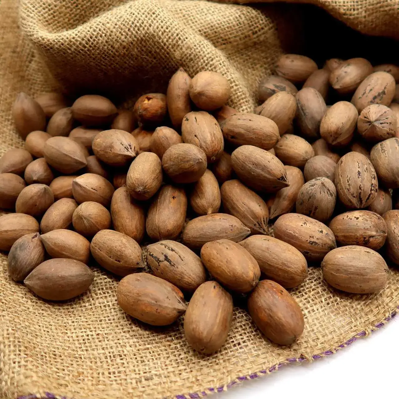 Pecan Nuts In Shell