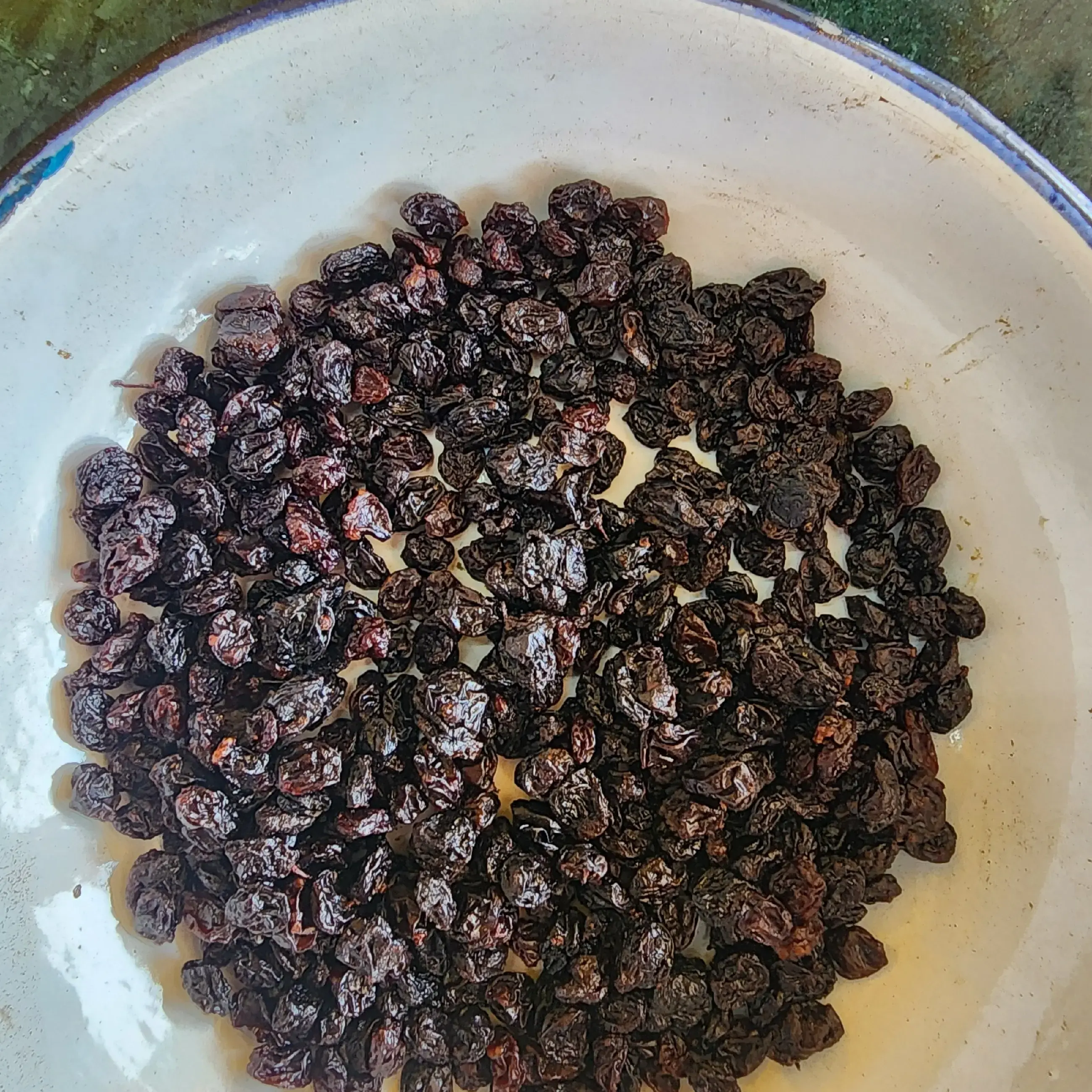 Black Currant