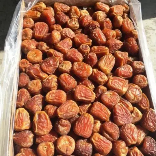 Sukhri Dates | Khajoor