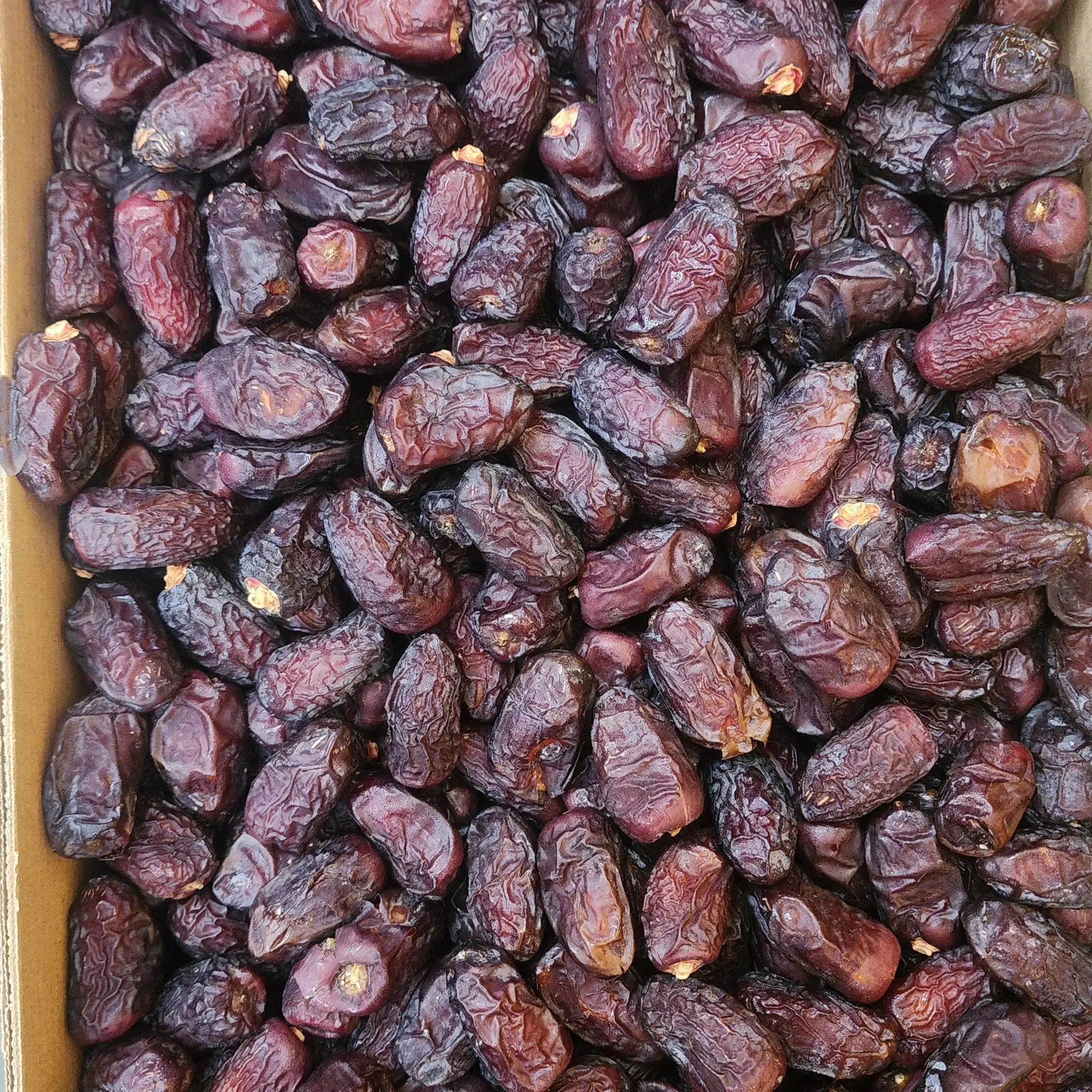 Safawi Dates | Khajoor