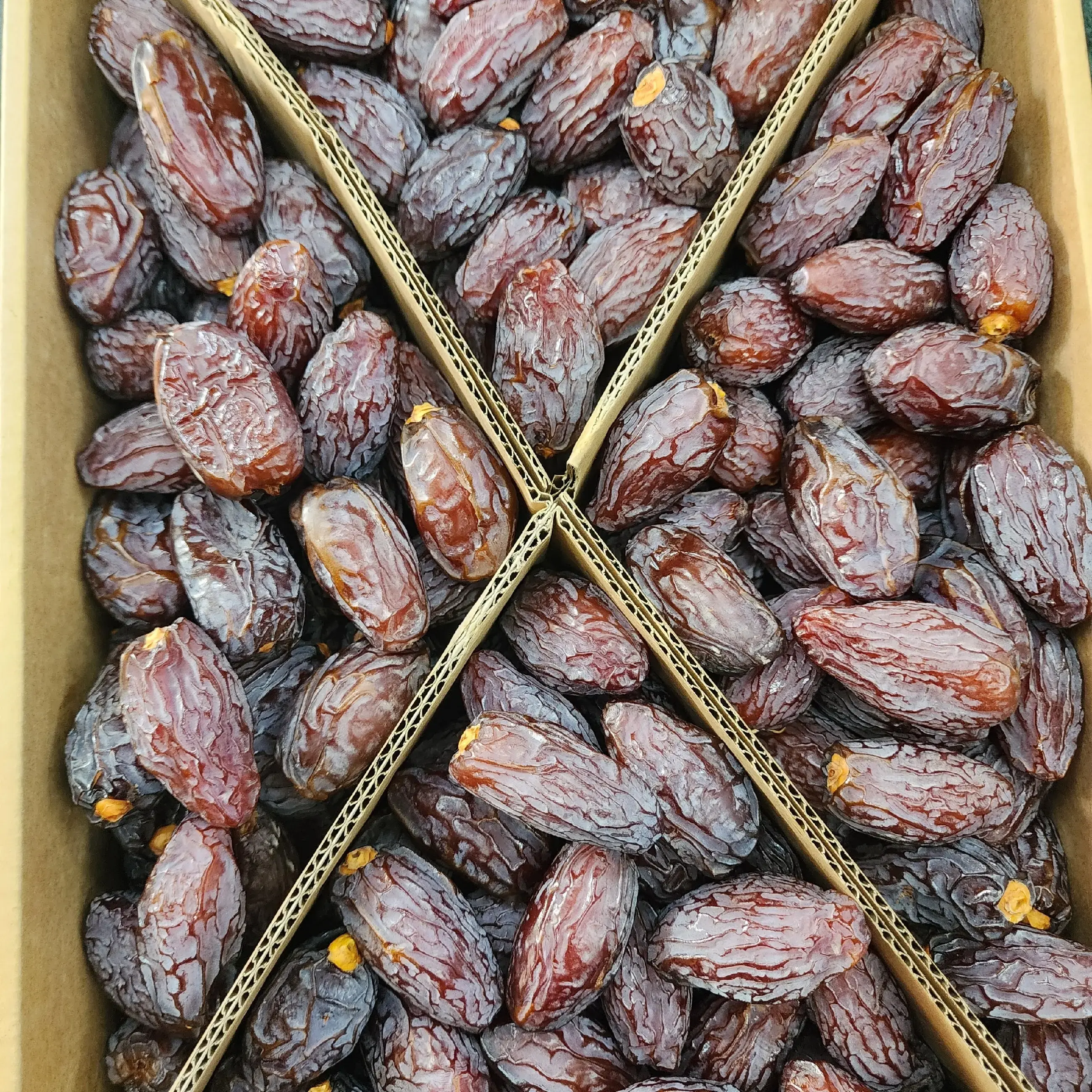 Premium Medjool Dates
