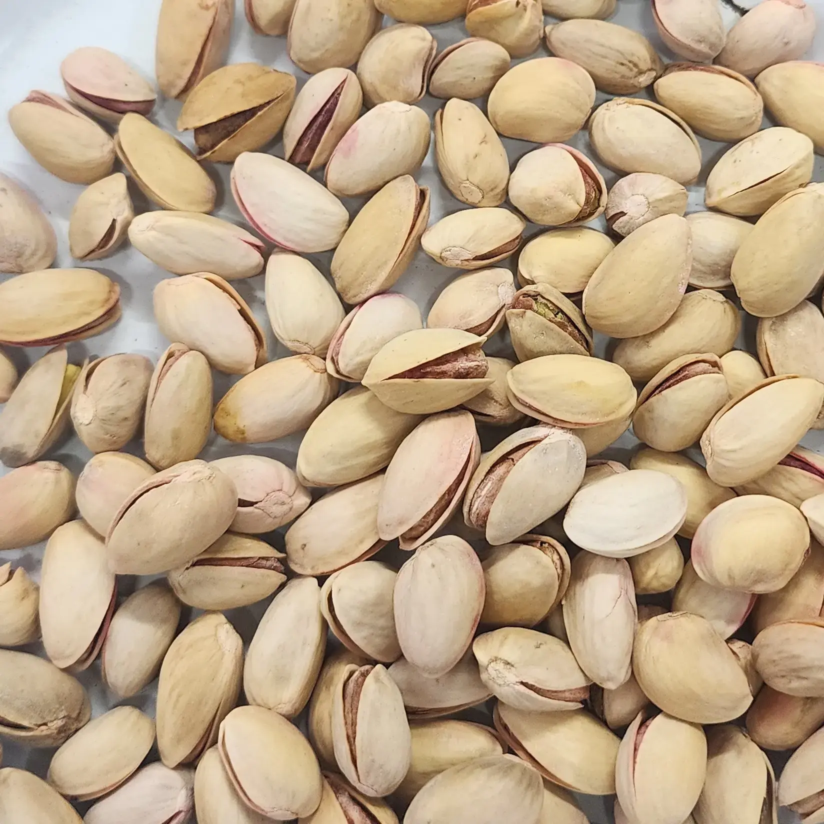 American Salted Pistachio | Pista 
