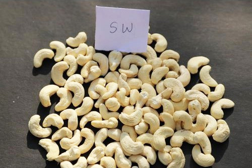Cashew | Kaju Nut | SW