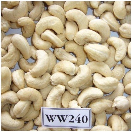 Cashew | Kaju | W240