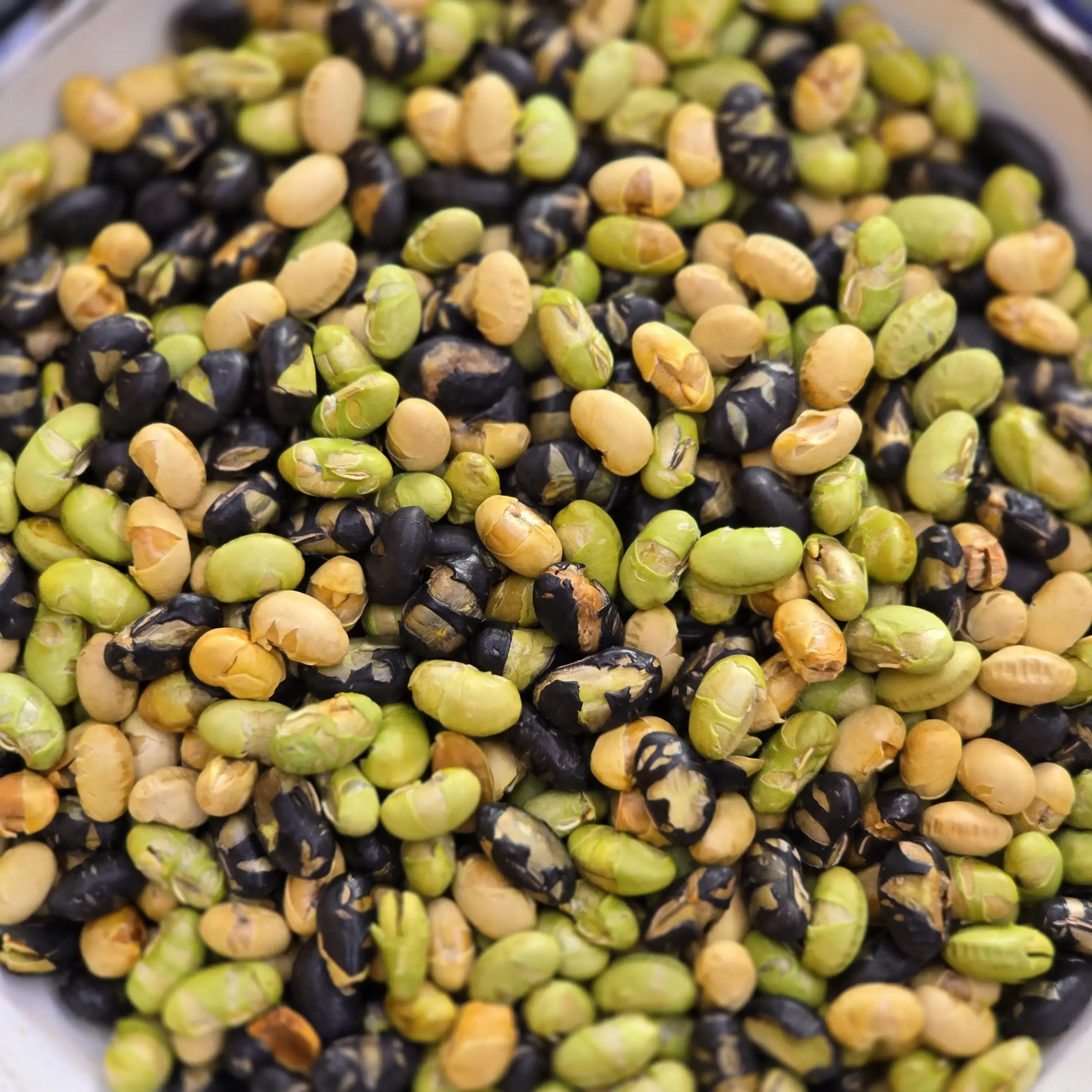 Rosted Protein Beans
